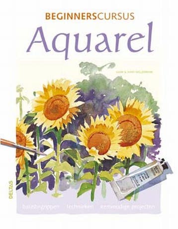 Beginnerscursus aquarel - M. Willenbrink 9789044707168, Verzenden, Gelezen, M. Willenbrink