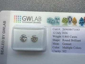 Zonder minimumprijs - 2 pcs Diamant (Natuurlijk gekleurd) -, Sieraden, Tassen en Uiterlijk, Edelstenen, Nieuw