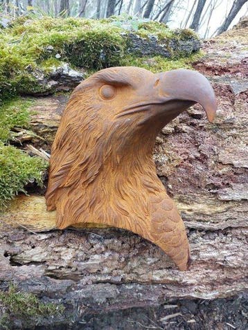Beeld, metal wall sign of hawk - 25 cm - Gietijzer