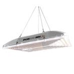 Dimlux | LED Kweeklamp | Xplore Series | 200w compact line, Tuin en Terras, Kweekspullen, Ophalen of Verzenden, Nieuw