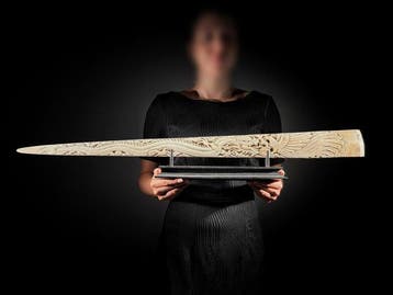 GEEN MINIMUMPRIJS - Prachtige grote zwaardvis-slagtand -