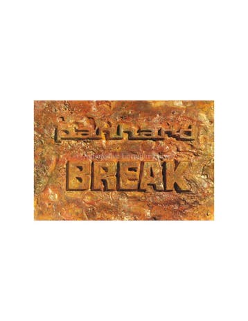 1963 PANHARD 17 BREAK BROCHURE FRANS, Boeken, Auto's | Folders en Tijdschriften, Nieuw, Author