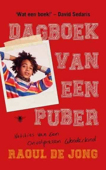 Dagboek van een puber - Raoul de Jong 9789403110905, Verzenden, Zo goed als nieuw, Raoul de Jong