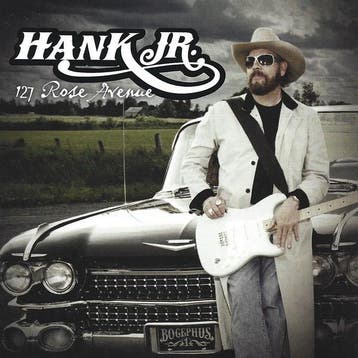 cd - Hank Williams Jr. - 127 Rose Avenue, Verzenden, Zo goed als nieuw