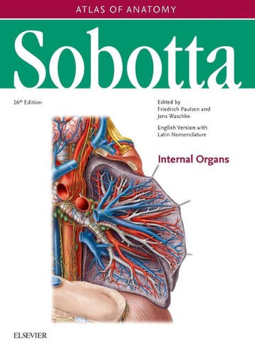 9780702052705 Sobotta Atlas of Anatomy, Vol. 2, 16th ed.,..., Verzenden, Zo goed als nieuw, Friedrich Paulsen