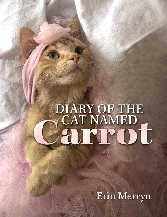 Diary of the Cat Named Carrot 9780757323904 Erin Merryn, Boeken, Taal | Engels, Zo goed als nieuw, Verzenden