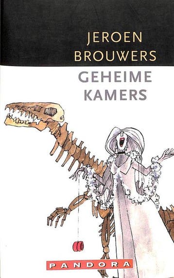 Geheime Kamers - Brouwers, Verzenden, Gelezen