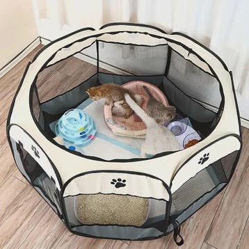 Octagonale Kattenren - Waterdicht & Krasbestendig - Opvouwba, Dieren en Toebehoren, Verzenden, Nieuw