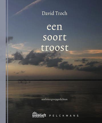 Een Soort Troost | David Troch | Nieuw, Ophalen of Verzenden, Nieuw, David Troch