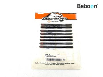 Bouten en Moeren Harley-Davidson Twin Cam 88 Engine Screamin, Motoren, Verzenden, Gebruikt