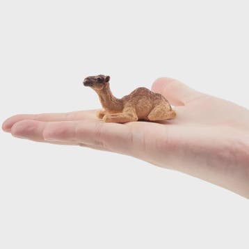 Toymany Camel Kalf Miniatuur Dier Model - Realistische Speel