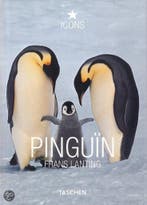 Pingun 9783836508841 Dabner, Verzenden, Zo goed als nieuw, Dabner