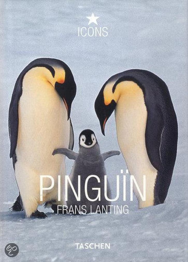 Pingun 9783836508841 Dabner, Boeken, Taal | Engels, Zo goed als nieuw, Verzenden