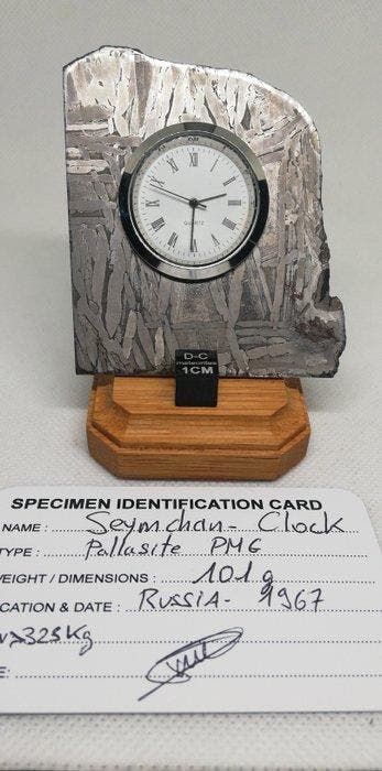 Meteoriethorloge Seymchan IJzer meteoriet - 101 g