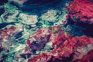 Jorge Omeñaca - Pink corals