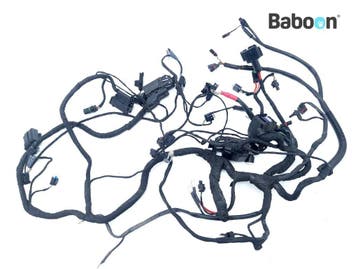 Kabelboom BMW F 700 GS 2017-> (F700GS 17 K70) (8566630), Verzenden, Gebruikt