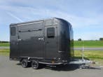 Steinsberger, zijlader, hengstenuitvoering, XL zadelkamer, Ophalen, Nieuw, Polyester, 2-paards trailer