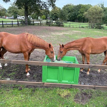 Slowfeeder XXL groen (1 kuub) voor paarden - 10 cm / geen, Ophalen of Verzenden, Nieuw