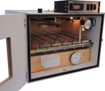 MS50 broedmachine 50 eieren volautomatisch | €599, Verzenden, Nieuw