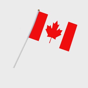 5x Canadese Vlaggetjes met Stokje - 14x21cm Mini Canada Vlag, Verzenden, Nieuw