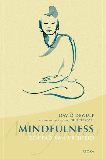 Mindfulness 9789056702472 David Dewulf, Verzenden, Zo goed als nieuw, David Dewulf