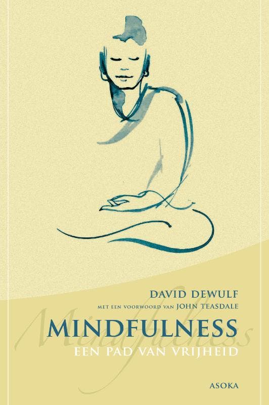 Mindfulness 9789056702472 David Dewulf, Boeken, Filosofie, Zo goed als nieuw, Verzenden