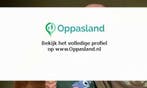 Laurens zoekt een oppas in Lent voor 1 kind., Vacatures