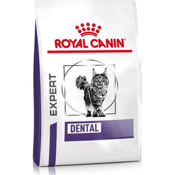 Royal Canin Dental Kat 3 kg (Kattenvoer), Verzenden, Kat