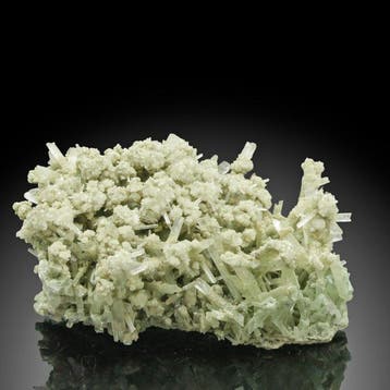 Zeldzaam gipsgras Kristalcluster - Hoogte: 8 cm - Breedte:, Verzamelen, Mineralen en Fossielen