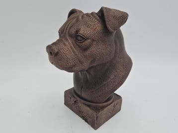 Bust of a american bully natural ears dog statue - home deco, Verzenden, Nieuw