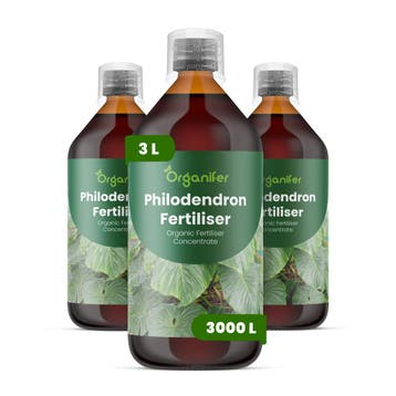 Philodendron Vloeibare meststof - Set 3x1 liter, Verzenden, Mest