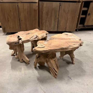 Salontafel Tonnie | Root massief Teak - 1 Stuk | World of, Ophalen of Verzenden, Nieuw