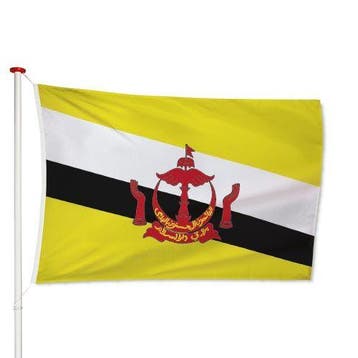 Bruneise Vlag 40x60cm, Verzenden, Nieuw