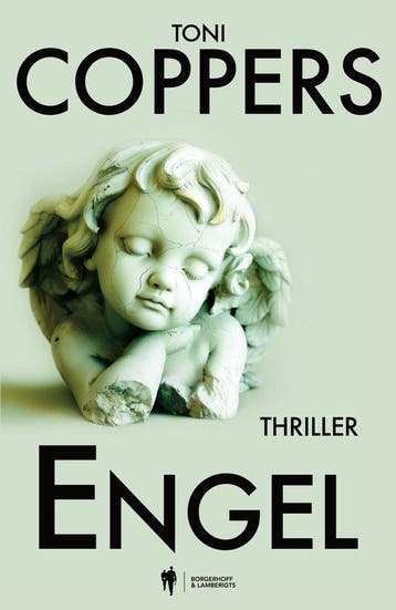 Engel / Liese Meerhout / 2 - Toni Coppers 9789464987645, Verzenden, Zo goed als nieuw, Toni Coppers
