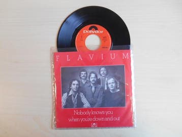 vinyl single 7 inch - Flavium - Nobody Knows You When You..., Verzenden, Zo goed als nieuw, 7 inch, Rock en Metal