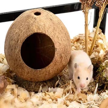 Kokosnoot Hamster Huis Nest Schuilplaats Kleine Dieren, Verzenden, Nieuw