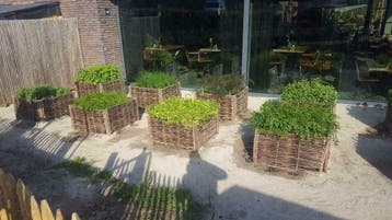 Wilgentenen schutting, vakkundig gevlochten, in 1 dag gereed, Nieuw, Hout, 3 tot 6 meter, 2 meter of meer