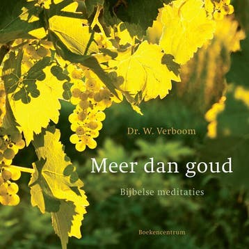 Meer dan goud - W. Verboom 9789023928058, Verzenden, Zo goed als nieuw, W. Verboom