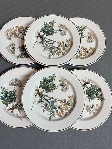 Villeroy & Boch - Bord (6) - botanica - Porselein - 17 cm