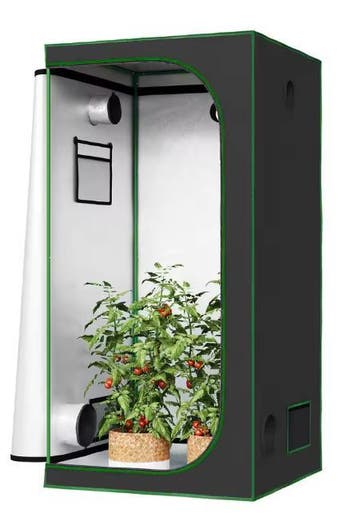 Mini Foliekas met Ramen voor Tomaten en Balkonplanten, Tuin en Terras, Kassen, Verzenden, Nieuw