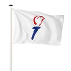 NR 548: Vlag vrijheid fakkel 100x150cm (voor gevelstok), Nieuw
