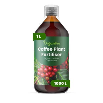 Koffieplant Vloeibare meststof - 1 liter, Verzenden, Mest