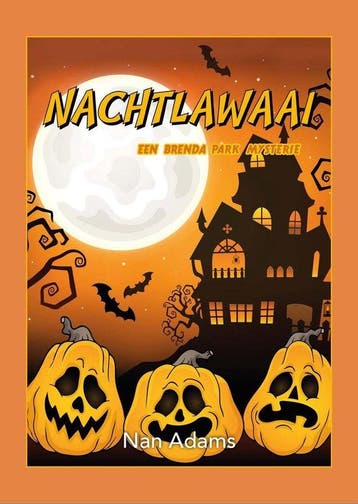 Nachtlawaai / Brenda Park Mysteries / 4 9789083059945, Verzenden, Gelezen, Nan Adams