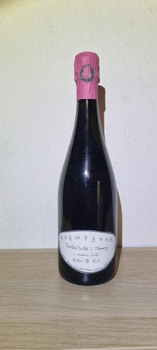 2016 Pontillat-Baillet, champagne - Champagne - 1 Fles (0,75, Verzamelen, Nieuw