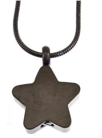 Assieraad, ashanger rvs ster klein zwart, Sieraden, Tassen en Uiterlijk, Kettinghangers, Nieuw, Zwart, Overige materialen, Kruis of Symbool