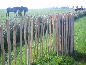 Kastanjehouten, Schapenhekken en Kastanjehoutenhekwerk ,, Ophalen, Nieuw