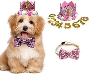 Honden ballon decoratie pakket Puppy roze 43-delig, Dieren en Toebehoren, Ophalen of Verzenden, Nieuw, Overige typen