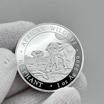 Somalië. 100 Shilling 2026 – African Wildlife Series –
