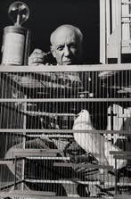 Lucien Clergue (1934–2014) - Pablo Picasso