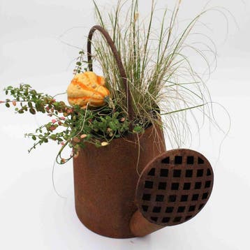Decoratieve gieter in patina | 3D roestdecoratie voor, Verzenden, Nieuw